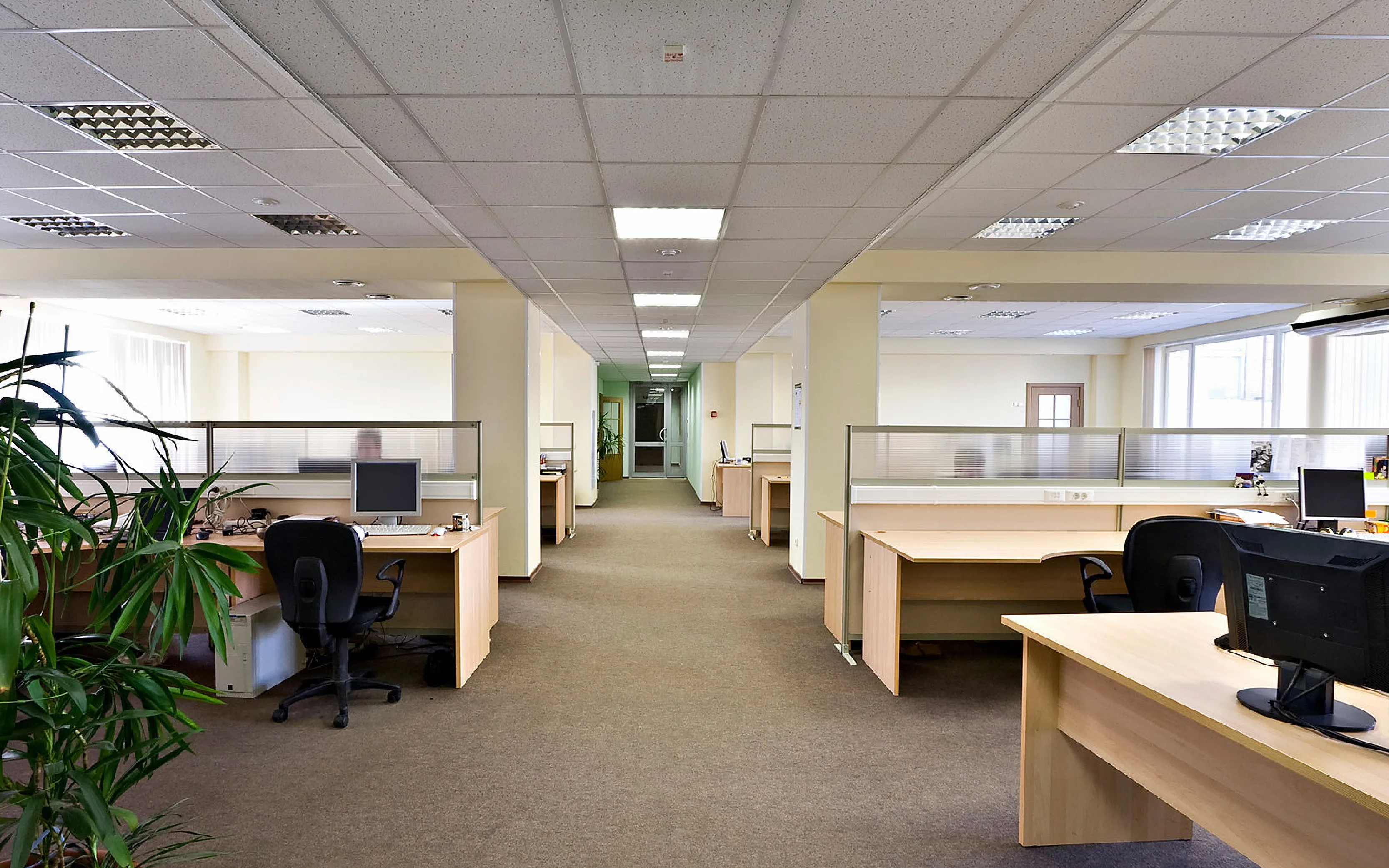 carpet cleaning in new jersey, carpet cleaning in new jersey, carpet cleaning new jersey, carpet cleaners in new jersey, carpet cleaners in new jersey, commercial carpet cleaning, commercial carpet cleaning in new jersey, new jersey rug cleaners, rug cleaning services in new jersey, same day carpet cleaning, same day rug cleaning